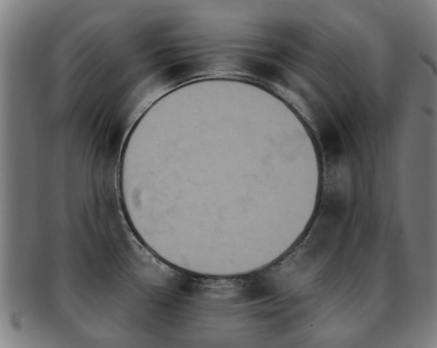 X0000091901338200709051355