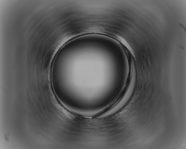 X0000091901339200709051355