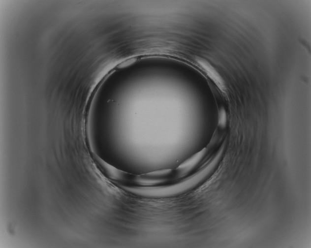 X0000091901340200709051355