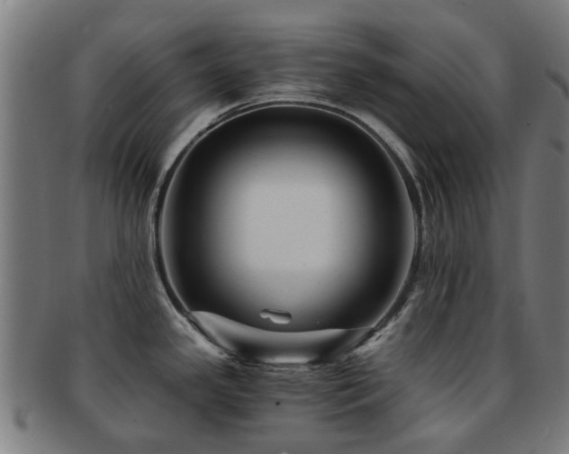 X0000091901341200709051355