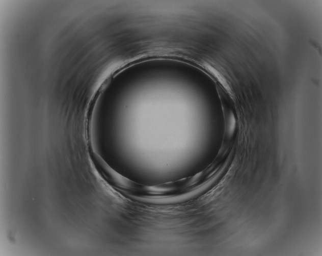 X0000091901342200709051355