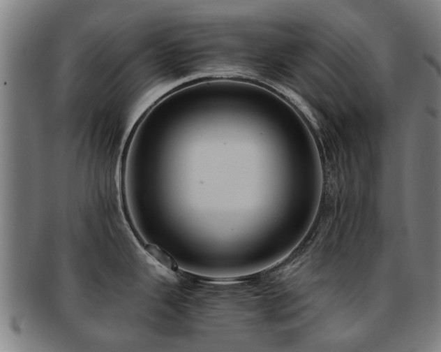 X0000091901343200709051355