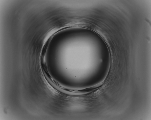 X0000091901344200709051355
