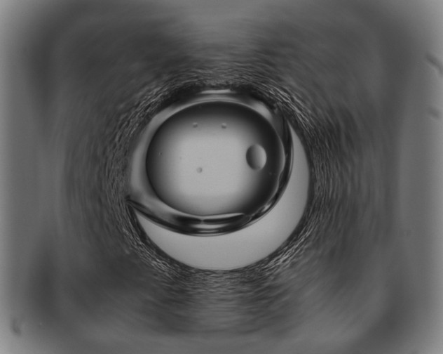 X0000091901345200709051354