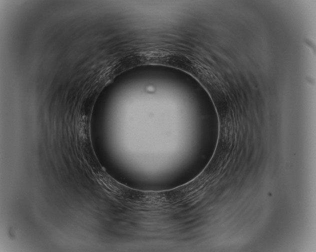 X0000091901346200709051354