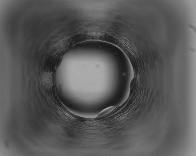 X0000091901347200709051354