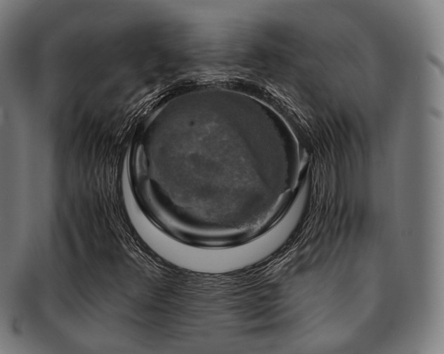 X0000091901348200709051354
