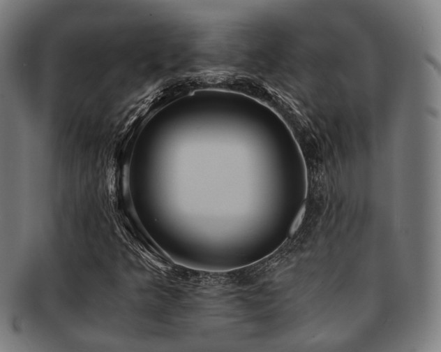 X0000091901349200709051354