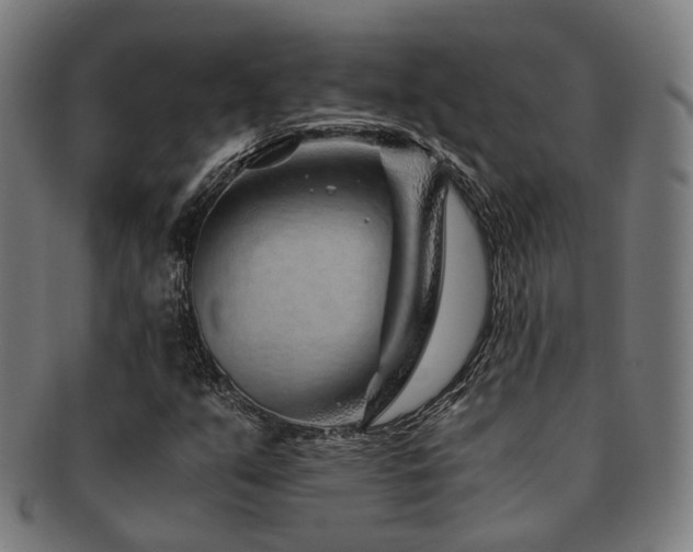 X0000091901351200709051354