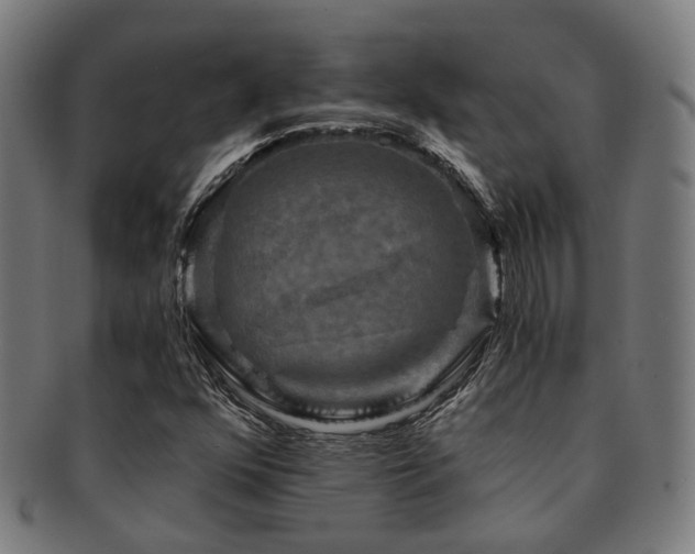 X0000091901352200709051354