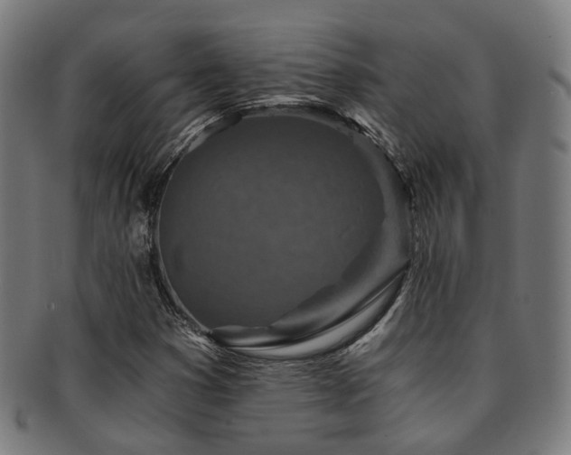 X0000091901353200709051354