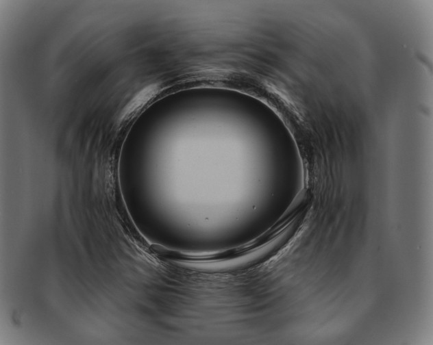 X0000091901354200709051354