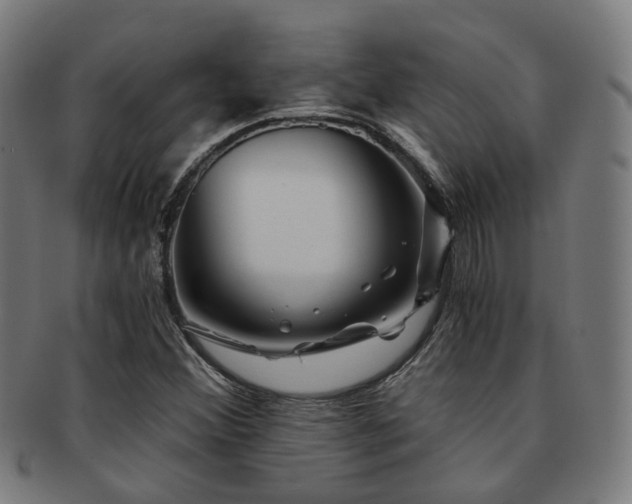 X0000091901356200709051354
