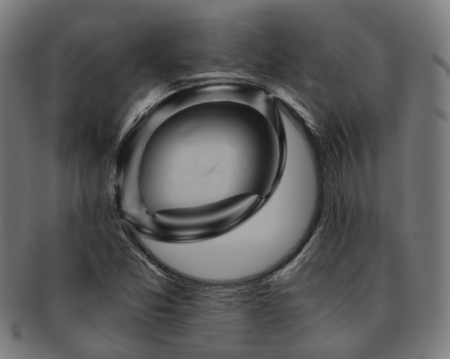 X0000091901357200709051354