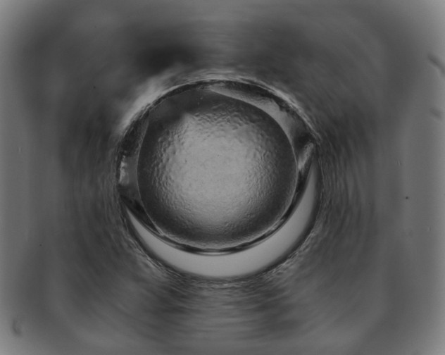 X0000091901359200709051354