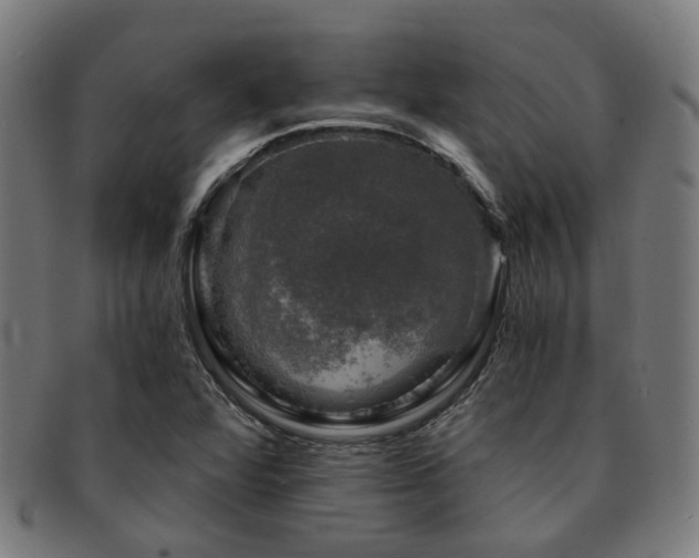 X0000091901360200709051354