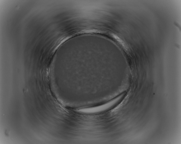 X0000091901361200709051354