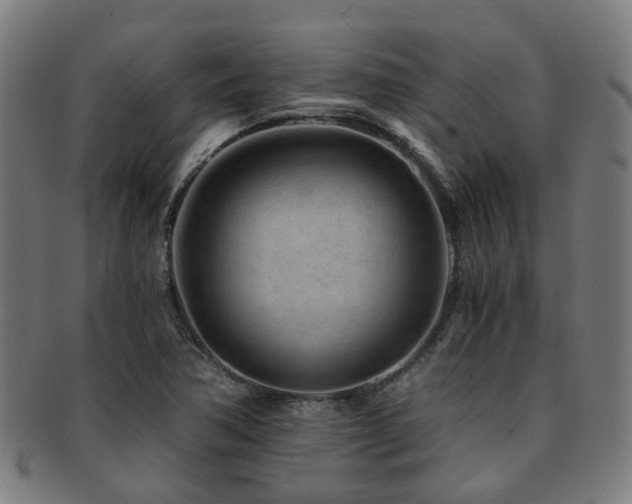 X0000091901362200709051354