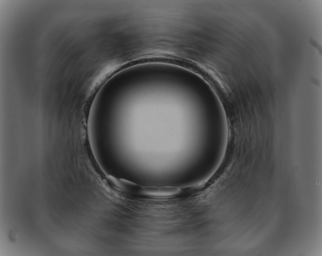 X0000091901363200709051354