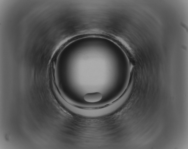 X0000091901364200709051354
