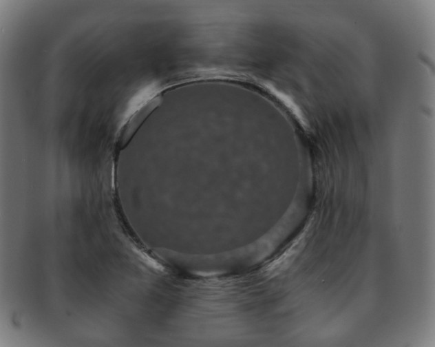 X0000091901365200709051354