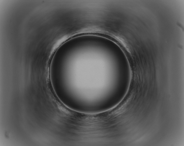 X0000091901366200709051354