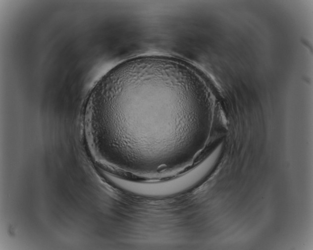 X0000091901367200709051354