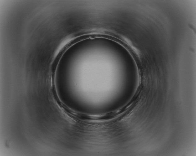 X0000091901368200709051354