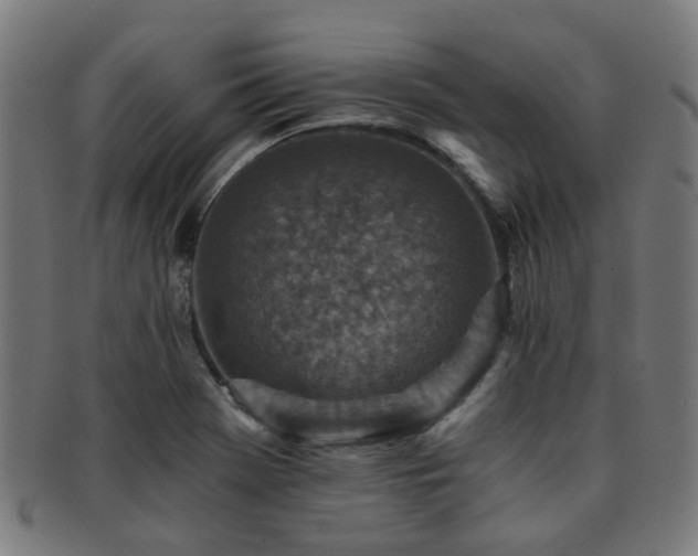 X0000091901369200709051354