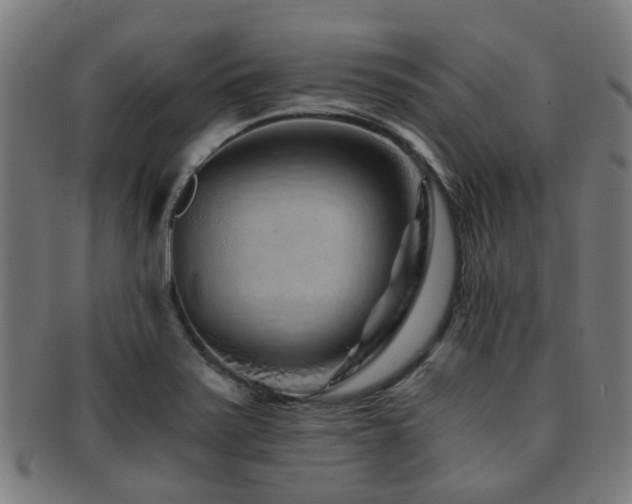 X0000091901371200709051354