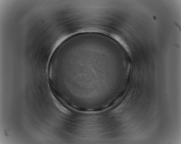 X0000091901372200709051354