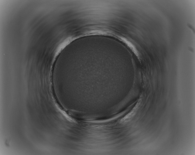 X0000091901373200709051354