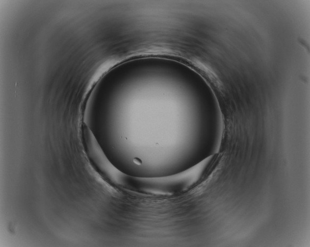 X0000091901374200709051354