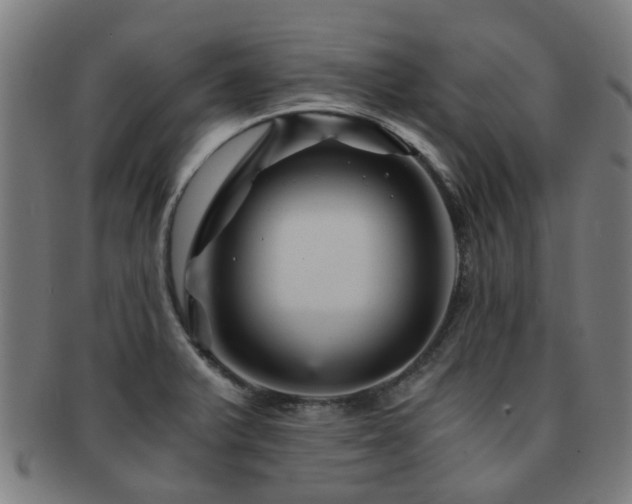 X0000091901375200709051354