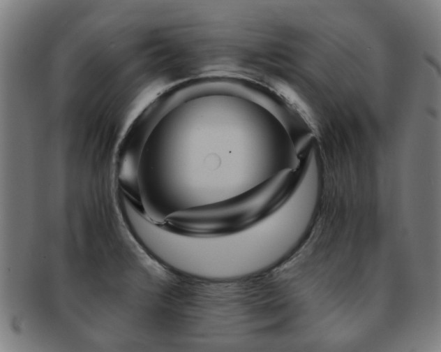X0000091901376200709051354