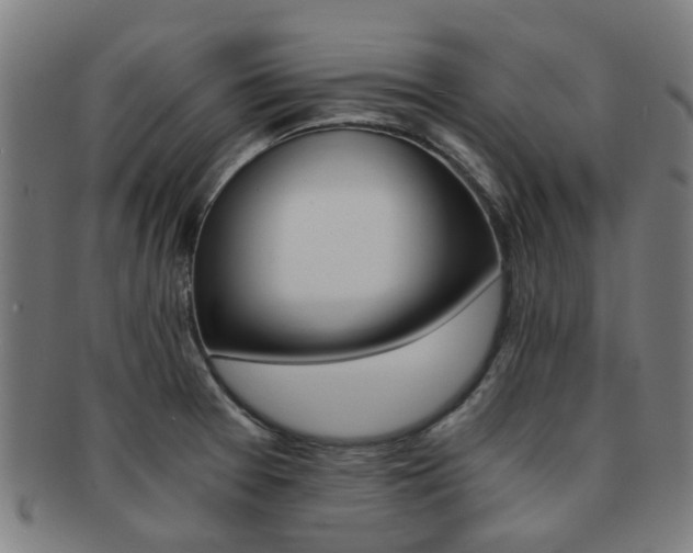 X0000091901377200709051354
