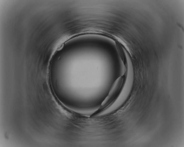 X0000091901379200709051354