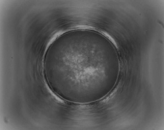 X0000091901381200709051354