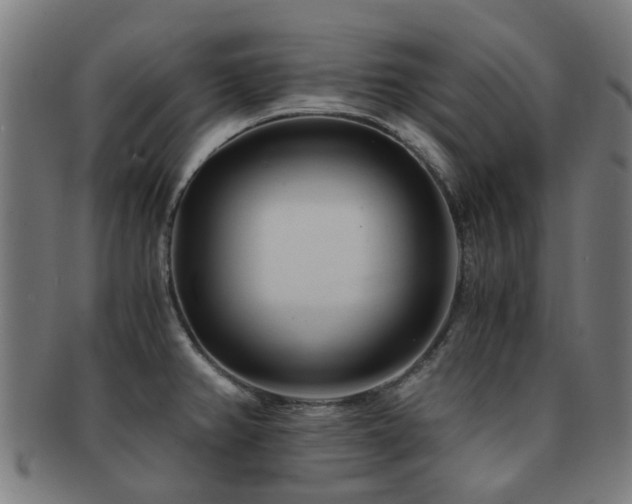 X0000091901382200709051354