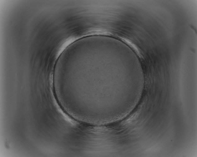 X0000091901383200709051354