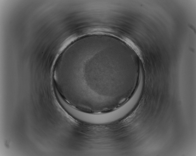 X0000091901384200709051354