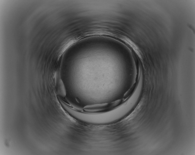 X0000091901385200709051354