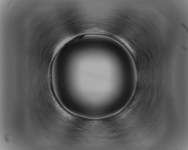 X0000091901387200709051354