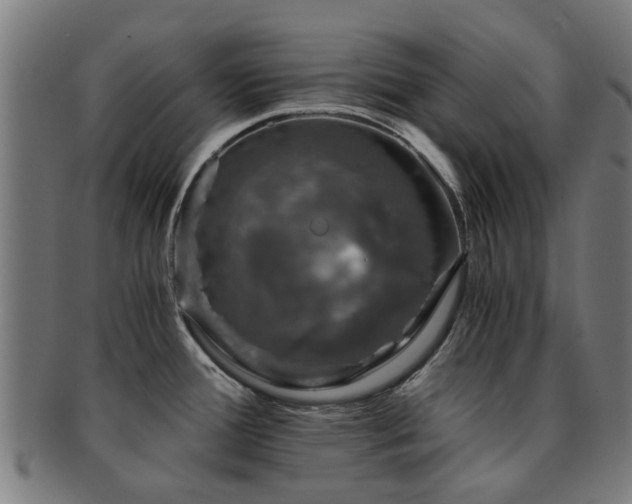 X0000091901388200709051354