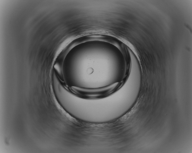 X0000091901389200709051354