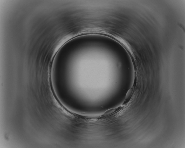 X0000091901390200709051354