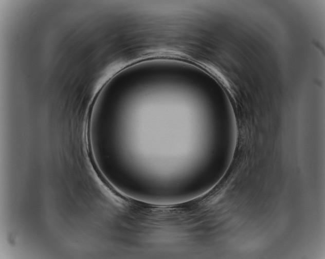 X0000091901391200709051354