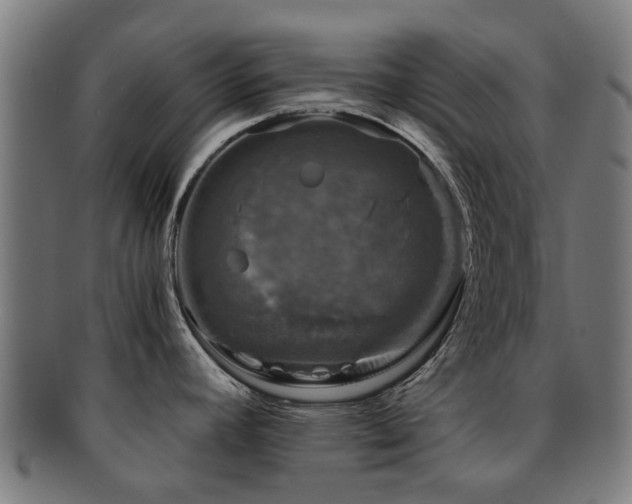 X0000091901392200709051354