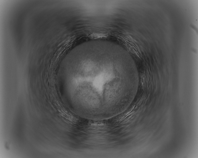 X0000091901393200709051353