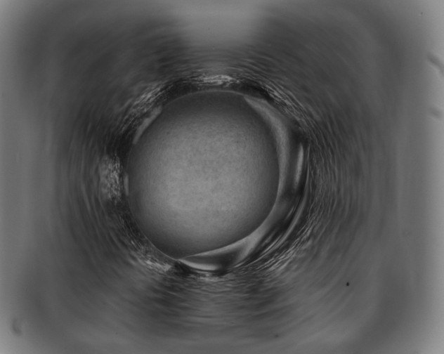 X0000091901394200709051353